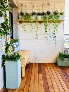 some plants are growing on the side of a building with wood flooring and white walls