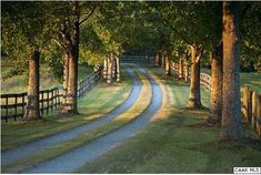 a dirt road surrounded by trees in the middle of a grassy field with a wooden fence