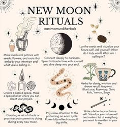 New Moon Ritual | New Moon Ritual for Beginners | New Moon Ritual Ideas #newmoon #ritual #newmoonritual #moonmanifestation #fullmoon Witch Marks, Shadow Journal, Witchcraft Knowledge, Spiritual Understanding, Witchy Journal, Types Of Witches, Wiccan Crafts, Moon Magick, New Moon Rituals