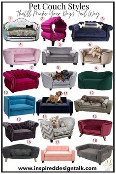 different types of couches for dogs and cats to use in their house or home