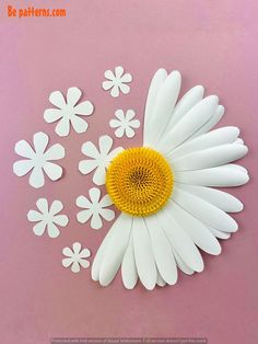 white and yellow flowers are arranged in the shape of a flower on a pink background