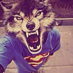 a wolf wearing a shirt with his mouth open