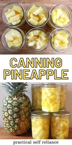 canned pineapples in mason jars with text overlay that reads canning pineapple practical self reliance