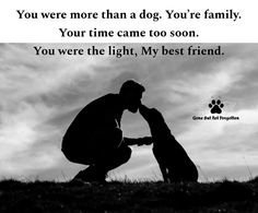 a man kneeling down next to his dog with the caption you were more than a dog, you're family