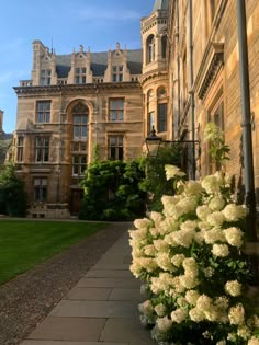 white flowers in front of a large building