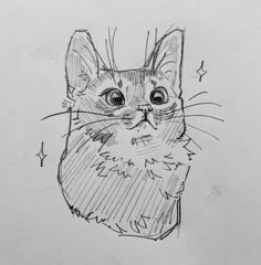 a drawing of a cat with big eyes