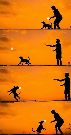 the silhouettes of people and their dogs are shown in different positions at sunset or dawn