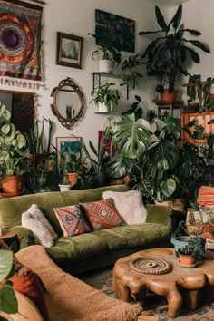 a living room filled with lots of plants and furniture