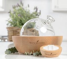 Aria Diffuser Young Living, Vision Casting, Aria Diffuser, Premium Starter Kit Young Living, Young Living Diffuser, Natural Boho, Simple Desk, Aroma Oil, Massage Room