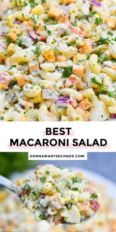 the best macaroni salad recipe is made with fresh vegetables