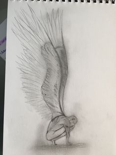 a pencil drawing of a bird with its wings spread