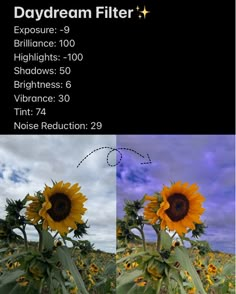 three different pictures of sunflowers in the field