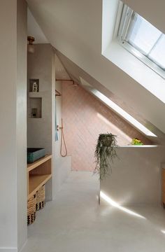 an attic bathroom with skylights and a plant on the counter in front of it