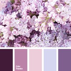 the color scheme is purple and has white flowers on it, including lilas in shades of