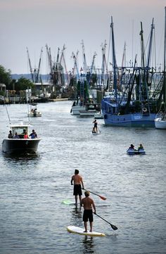 several people paddle boarding in the water with boats and yachts behind them at dusk