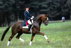 a man riding on the back of a brown horse through a lush green field with trees in the background