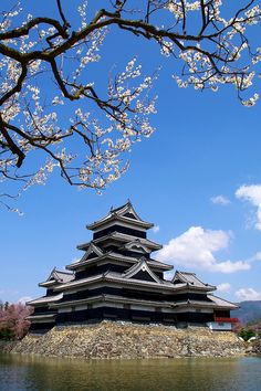 a tall building sitting on top of a lake next to a tree with white flowers