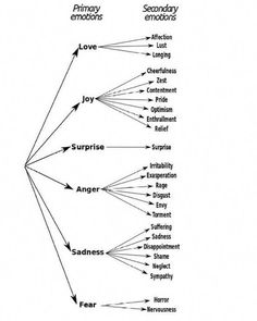 a diagram showing the different types of emotions and feelings in each individual's body