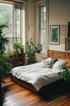 a bed sitting in a bedroom next to two windows with potted plants on them