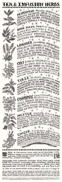 Herbs Poster, Tea Infusion, Medical Herbs, Magia Das Ervas, Magic Herbs, Natural Healing Remedies, Herbal Healing, Herbal Magic, Herbs For Health