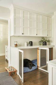 a black dog laying on top of a blue bed in a kitchen next to white cabinets