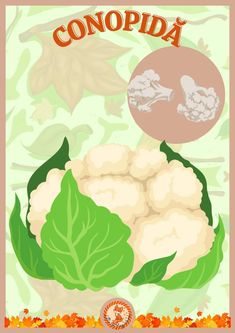 a poster with cauliflower and leaves on it