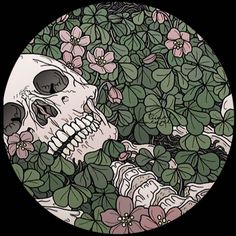 a drawing of a human skull surrounded by flowers and leaves in a circular black frame