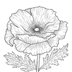 a black and white drawing of a flower