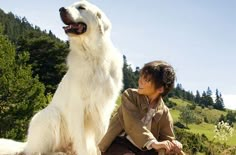 a woman kneeling down next to a large white dog