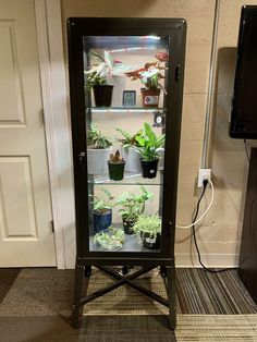 a display case filled with plants inside of a room