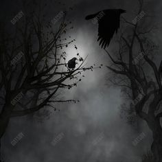 a black bird flying in the night sky above trees and branches with leaves on them