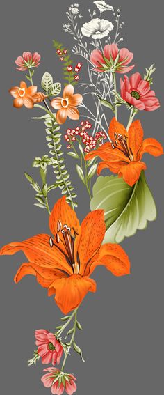 an orange flower on a gray background with other flowers in the backgrounnd