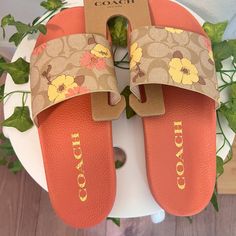 Signature Coated Canvas Upper Mesh Lining, Eva Footbed Rubber Outsole Slip On Style No. Ci123 Coach Slides, Coach Sandals, Pretty Sandals, Girly Shoes, Signature Canvas, Slide In, Dream Shoes, Coach Shoes, Sneaker Head