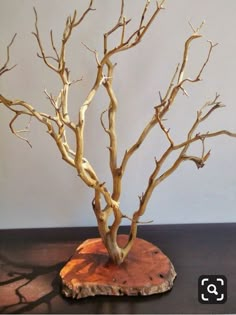 a tree that is sitting on top of a table