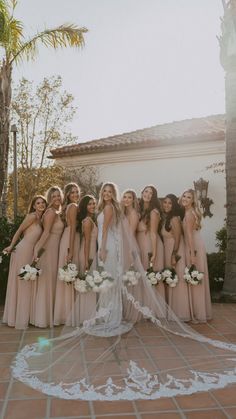 a bride and her bridal party posing for a photo