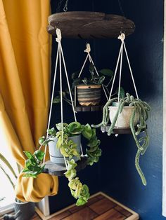 some plants hanging from hooks in a room