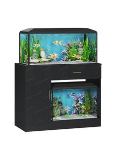 two aquariums with different types of fish in them