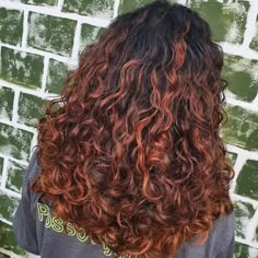 Hair Canvas, Bangs Wavy Hair, Highlights Curly Hair, Dark Hair With Highlights, Red Highlights, Copper Hair, Dye My Hair, Green Lantern, Dark Hair