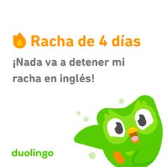 a green bird with the words racha de 4 dias