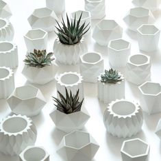 several white vases with succulent plants in them