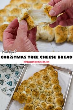 Looking for the perfect Christmas appetizer or holiday side dish? This Cheesy Pull-Apart Christmas Tree Bread is made with just a few simple ingredients to keep your holiday party stress-free and delicious. You are going to love how quick and easy it is and your family will love how cheesy it is. Tree Bread, Christmas Tree Bread, Christmas Tree Food, Christmas Appetizer, Holiday Side Dish, How To Make Biscuits, Holiday Side, Cheesy Bread