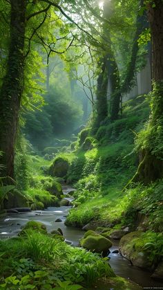 a stream running through a lush green forest filled with lots of trees and grass covered rocks