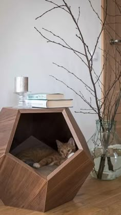 a cat laying in a wooden box on the floor next to a vase with branches