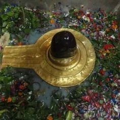 a gold hat sitting on top of a pile of flowers and confetti scattered around it