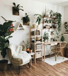 a room with plants on the wall and shelves above it, in an instagramted photo