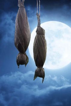 two fish hanging from strings in front of a full moon