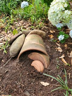 an old pipe laying in the dirt next to some flowers