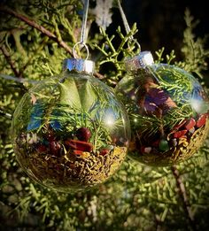 two glass ornaments hanging from a tree filled with plants and rocks in the shape of christmas balls