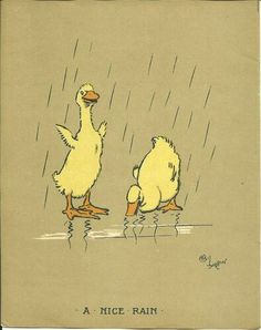 two ducks are standing in the rain