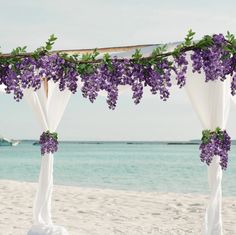 an outdoor wedding setup on the beach with purple flowers and greenery hanging over it